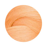 Redken ShadesEQ Bonder Inside 010AA 60ml