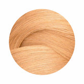 Redken ShadesEQ Bonder Inside 010GI 60ml