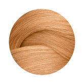 Redken ShadesEQ Bonder Inside 09NB 60ml