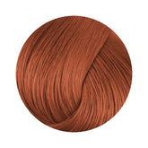 CPR Colour 7.4 - Copper Blonde 120ml
