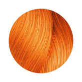 Majirel 8.43 Copper - 60mL