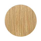 22'' Clip Extensions 100% Human Hair #18