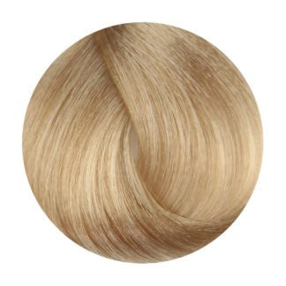 Fanola 10.03 Warm Platinum Blonde 100G