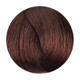 Fanola 6.43 Dark Copper Golden Blonde 100G