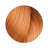 L'Oreal Majirel 8.04 Light Natural Copper Blond 50g