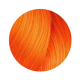 L'Oreal Maji Contrast Copper 50g