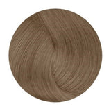 De Lorenzo Novacolor Whipped Caramel CL8 60g