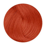 De Lorenzo Novacolor Intense Copper 60g