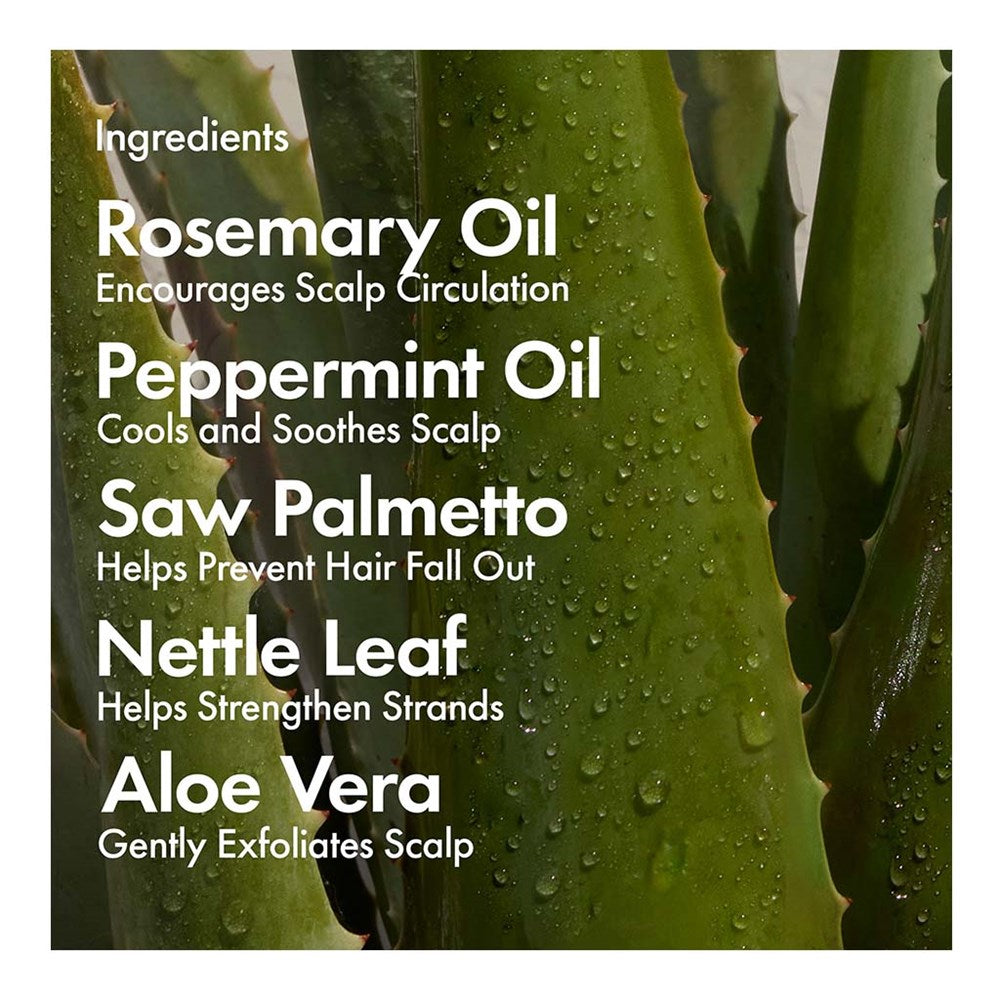 Bondi Boost HG Shampoo - 1000ml